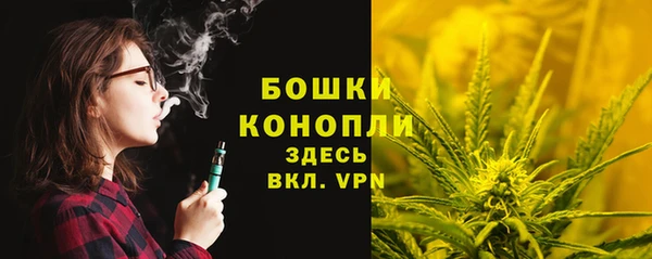 ГАЛЛЮЦИНОГЕННЫЕ ГРИБЫ Ельня