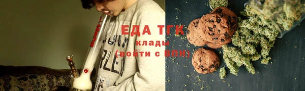 ГАЛЛЮЦИНОГЕННЫЕ ГРИБЫ Ельня