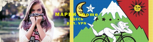 ГАЛЛЮЦИНОГЕННЫЕ ГРИБЫ Ельня