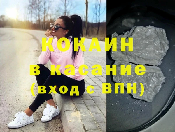 ГАЛЛЮЦИНОГЕННЫЕ ГРИБЫ Ельня