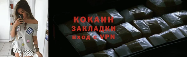 ГАЛЛЮЦИНОГЕННЫЕ ГРИБЫ Ельня
