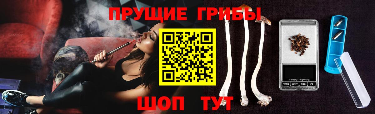 Псилоцибиновые грибы мицелий Фролово